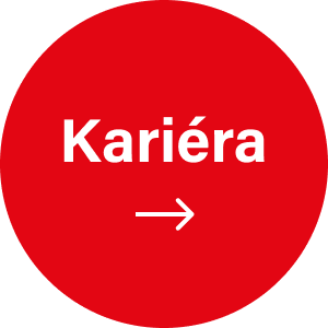 Kariéra